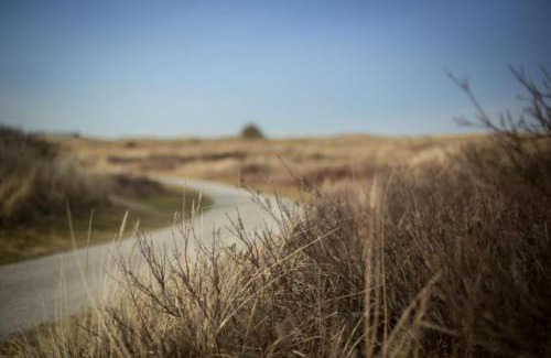 Ameland Apartment | Family-Friendly Weidevilla 14 on Beautiful Ameland