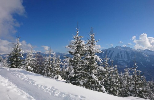 Sankt Veit im Pongau Apartment | Guest Rated 10/10 at Weidinghof with Family-Friendly Amenities
