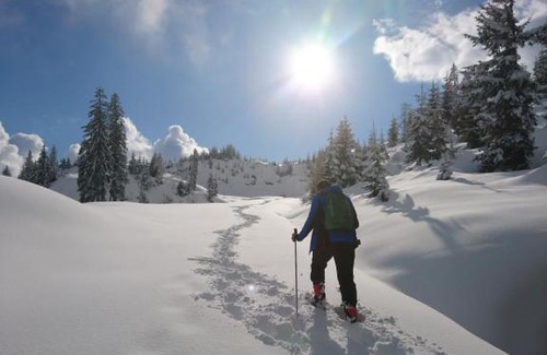 Sankt Veit im Pongau Apartment | Guest Rated 10/10 at Weidinghof with Family-Friendly Amenities