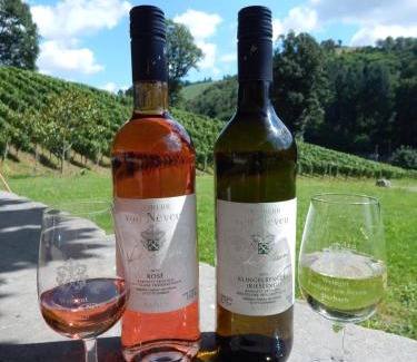 Durbach Apartment | Discover Wein Lodge Durbach with Restaurant & Family Welcoming