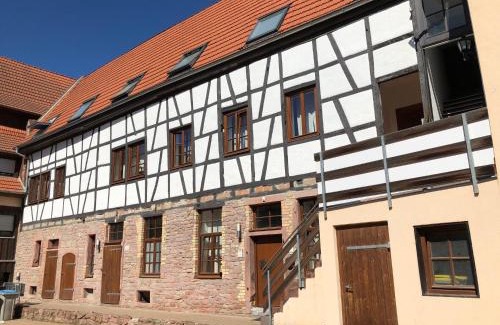 Seckenheim Apartment | Pet-Friendly Weingärtner Appartements: A Family Retreat