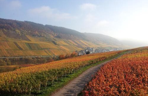 Reil House | Top-Rated Weingut-Brennerei-Gästehaus Emil Dauns with Breakfast
