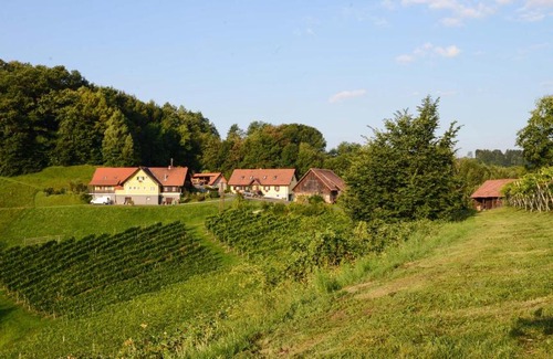 Oberfahrenbach House | Pet-Friendly Weingut & Buschenschank Pölzl with Breakfast