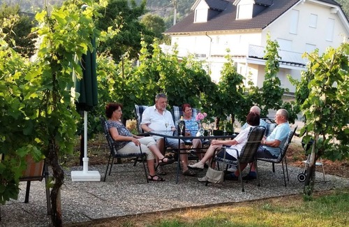Nittel Apartment | Guest Rated 10/10: Weingut-Ferienwohnung H. Dostert Stay