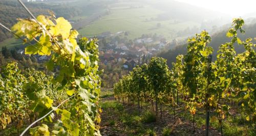 Auen Hotel | Inviting Retreat at Weingut Hees - Family & Pet Friendly