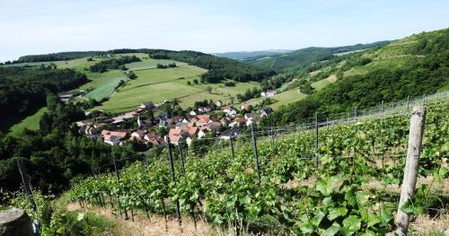 Auen Hotel | Inviting Retreat at Weingut Hees - Family & Pet Friendly