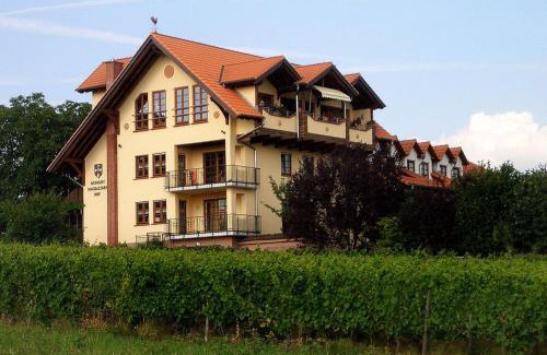 Ruedesheim am Rhein Hotel | Experience Weingut Magdalenenhof: Highly Rated & Family-Friendly