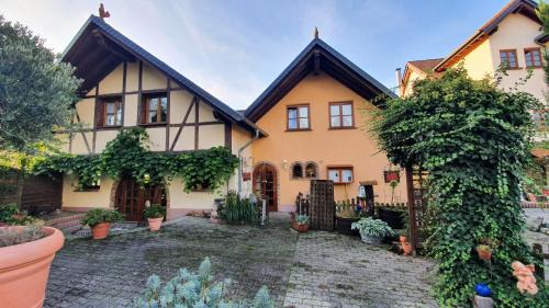 Ruedesheim am Rhein Hotel | Experience Weingut Magdalenenhof: Highly Rated & Family-Friendly