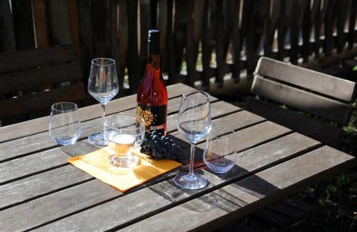 Meissen Apartment | Pet-Friendly Retreat at Weingut Martin Schwarz - Rated 8.9