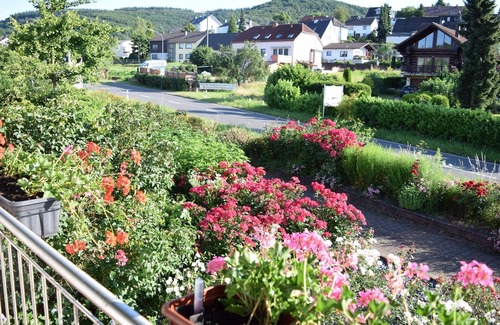 Ayl Cottage | Ocean View Double Room at Weingut-Pension Raevenhof