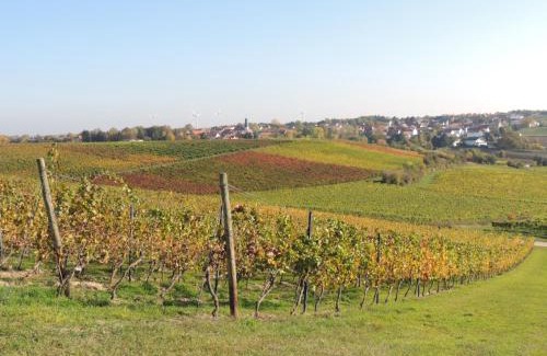 Mainz-Bingen House | Family-Friendly Weingut Seck with Kitchen & High Ratings