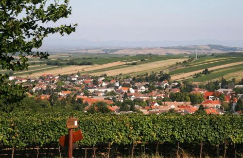 Herrnbaumgarten House | Discover Weingut zur Schlafmütze: Pet-Friendly Oceanfront Retreat