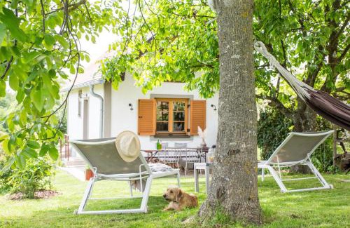 Deutsch Schuetzen-Eisenberg House | Top-Rated Weinlofts: Oceanfront Retreat with Spa & Pet-Friendly