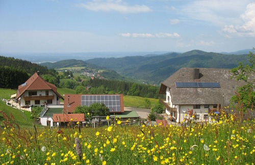 Horben Apartment | Comfortable Weitblick Room with Spa & Family Amenities