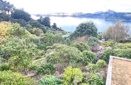 Dunedin Apartment | Weka St Eco Cabin