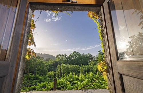Sant'Agata sui Due Golfi Apartment | Discover Villa Mellicata: Family & Pet-Friendly Retreat