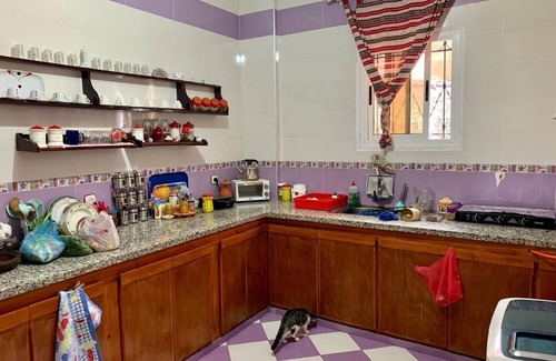 El Ensanche Bed & Breakfast | Explore Family-Friendly Comfort at AliensHome