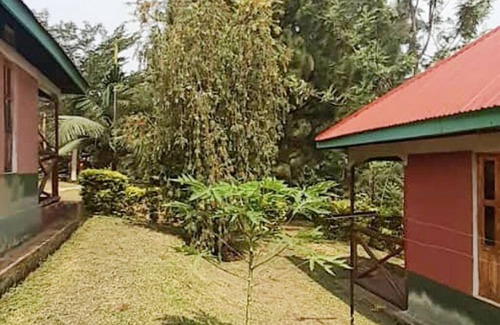 Kitojo Cottage | Discover Green Home Cottages & Campsite with Pool Access