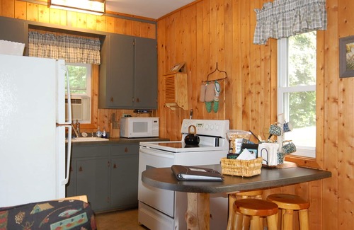 Birchwood Cabin | Experience Lakeshore Living at Lakeview Pine Hotel