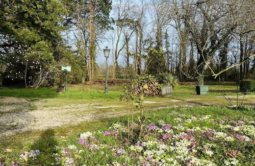 Simard House | Discover Les Bons Amis: Family and Pet-Friendly Retreat