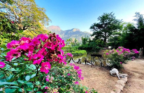 Meemure Bed & Breakfast | Discover Meemure Adventure Park with Family-Friendly Amenities