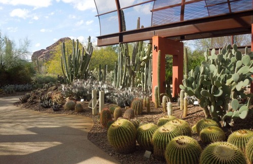South Scottsdale Resort | Experience the Old West! Modern Units Near Western Spirit