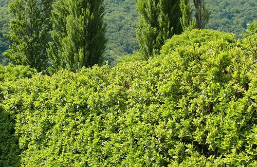 Cannobio House | Charming 5-Room House with Lake View and Sun Terrace