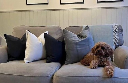 Ilkley Cottage | Family-Friendly Wellington Cottage for Memorable Getaways