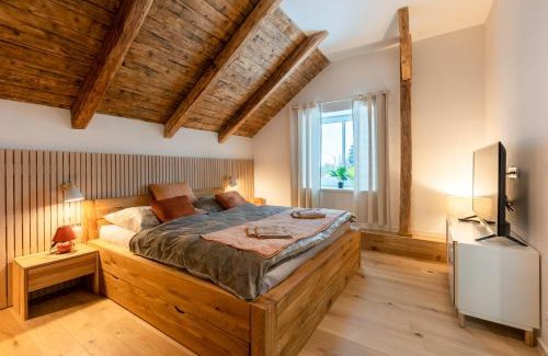 Velke Losiny Apartment | Relaxing Wellness Apartmány Vila Republika with Spa & Hot Tub