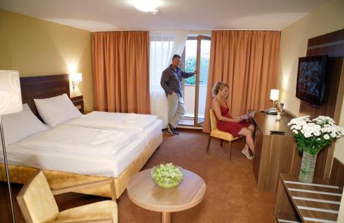 Roznov Pod Radhostem Hotel | Relaxing Wellness Resort Energetic with Spa & Private Pool