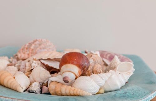 Salcombe House | Discover Welsummer: Family-Friendly 4-Star Retreat