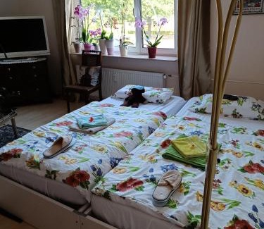Wedding House | Inclusive Private Room with Spa - LGBTQ Friendly Stay