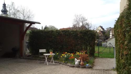 Meuselwitz Apartment | Oceanfront Escape at Wendler's Haus - Rated 8.2/10