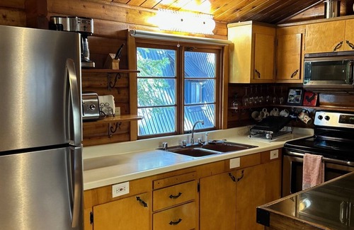 Donner Lake Woods Cabin | Dog-Friendly West End Donner Lake with Scenic Lake Views