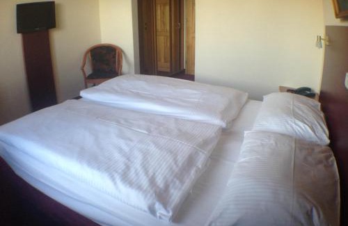 Zitzschewig Hotel | Cozy WEST Hotel at Sächsische Weinstrasse with Dining & Pets