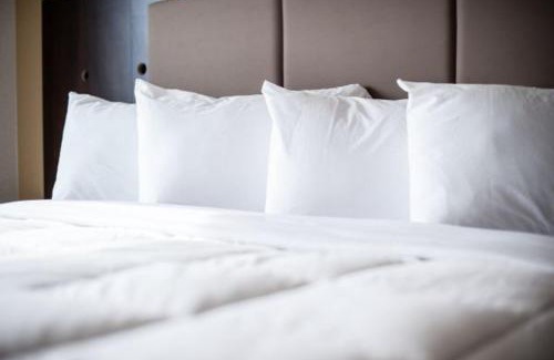 Carlyle Hotel | Explore Western Star Inn and Suites Carlyle: Pet Friendly Stay