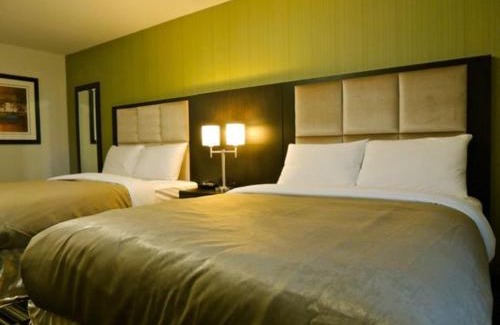 Carlyle Hotel | Explore Western Star Inn and Suites Carlyle: Pet Friendly Stay