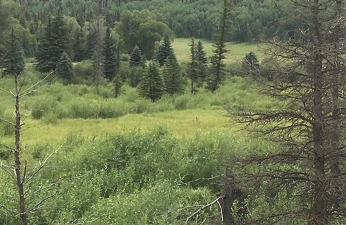 Rye RV Rental | Family-Friendly Wet Mountain Retreat for Memorable Getaways