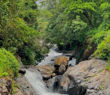 Vayittiri Resort | Discover Wetlands Wayanad Resort with Scenic Waterfalls