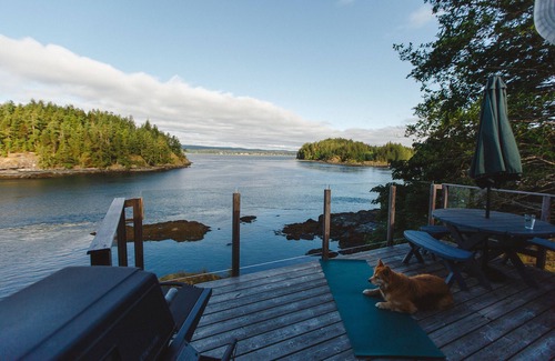 Quathiaski Cove Cottage | Experience Ocean Views and Wildlife at Your Doorstep