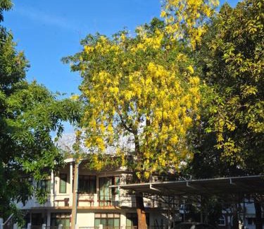 Bang Sai House | Discover Whales Come to the River - Family-Friendly Retreat