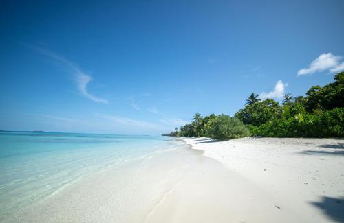 Dhigurah Hotel | Beautiful Whaleshark Beach: Oceanfront Bliss Awaits