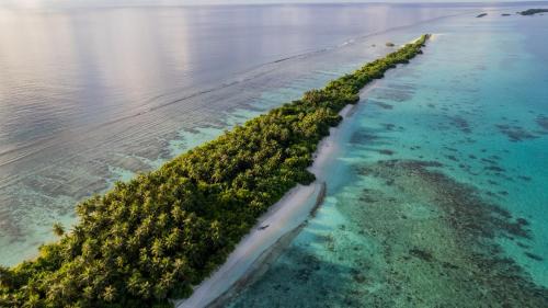 Dhigurah Hotel | Beautiful Whaleshark Beach: Oceanfront Bliss Awaits