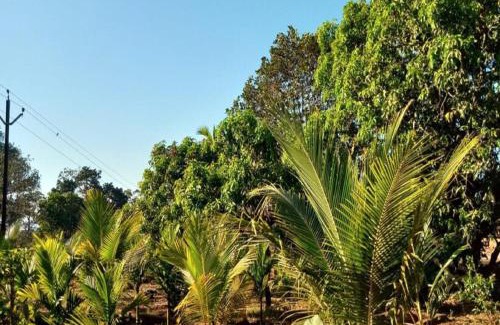 Tural Villa | Whistling Farms Home Stay: Pet and Child Friendly Escape