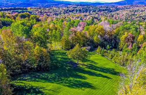 Wilmington House | Family-Friendly Whistling Peak - Rated 9/10 by Guests
