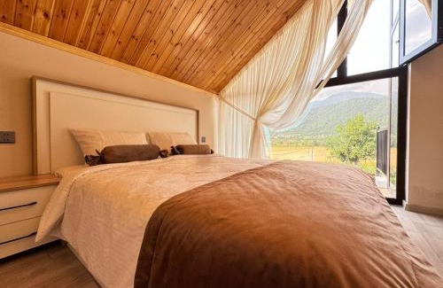 Gabala House | Discover White Dream Gabala: Family-Friendly Retreat