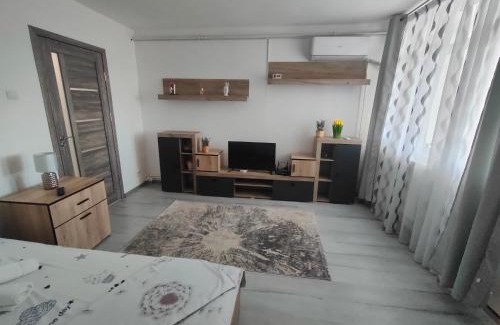 Turnu Magurele Apartment | Budget-Friendly Family Retreat at White House Hotel