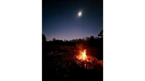 Maleny House | Exceptional White Jacaranda Tiny House - Top Guest Rated 9.6