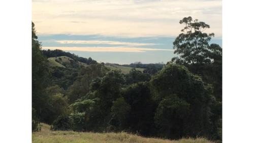 Maleny House | Exceptional White Jacaranda Tiny House - Top Guest Rated 9.6