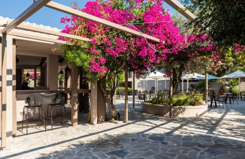 Pefkos Hotel | Modern Oceanfront Retreat at White Olive Premium Lindos